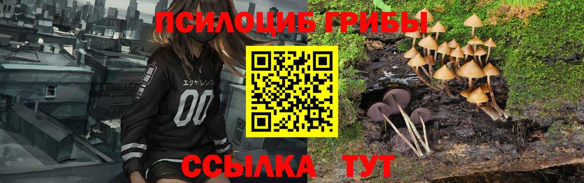 Городец  Псилоцибиновые грибы ЛСД  Псилоцибиновые грибы GOLDEN TEACHER  Вход с VPN 