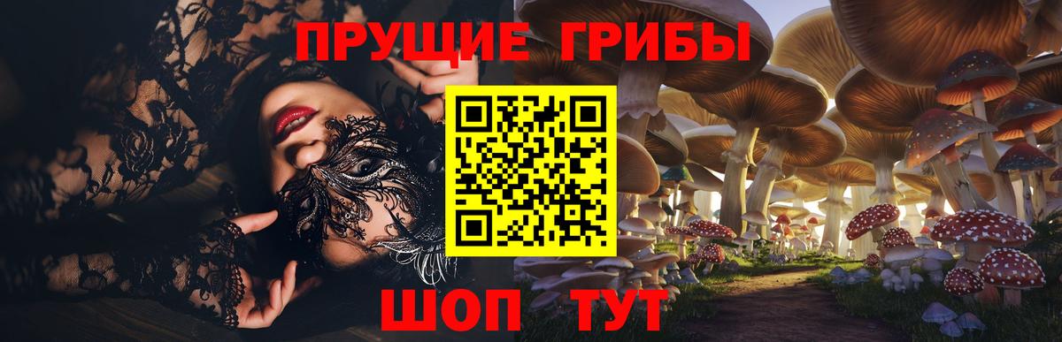 Галлюциногенные грибы Psilocybe Городец